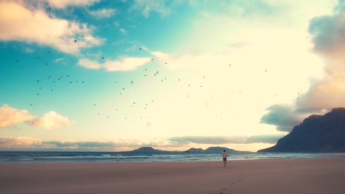 Playa de Famara con una bandada de pájaros y el risco al fondo