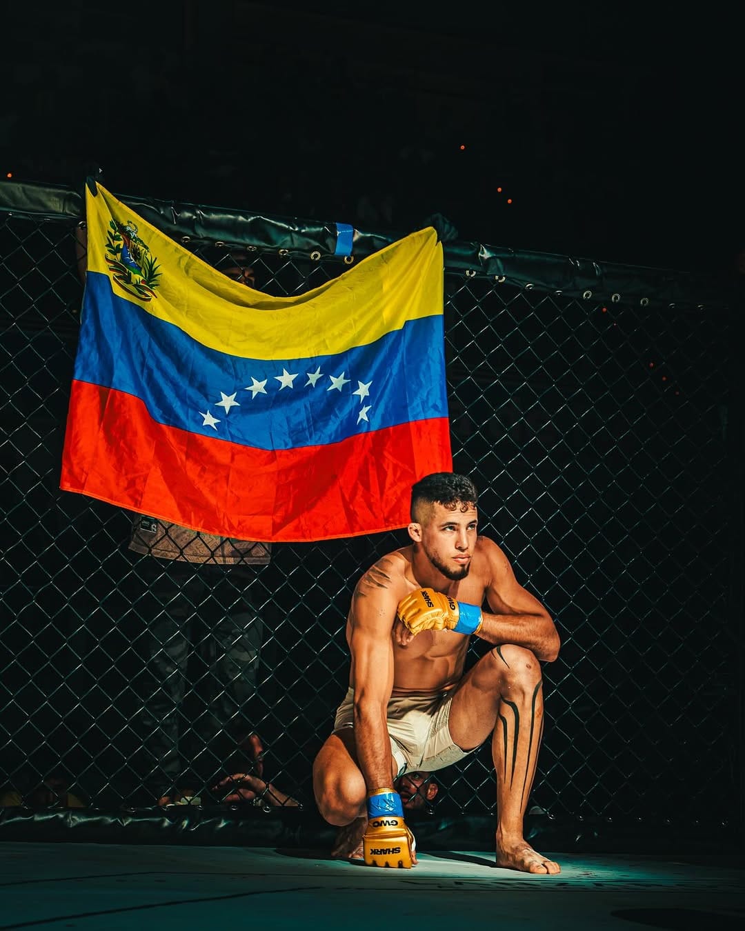 Peleador agachado en la jaula bajo una bandera de Venezuela